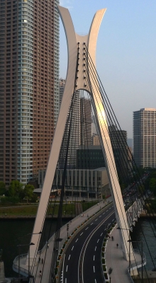 P1060149.jpg